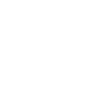 instagramLogo